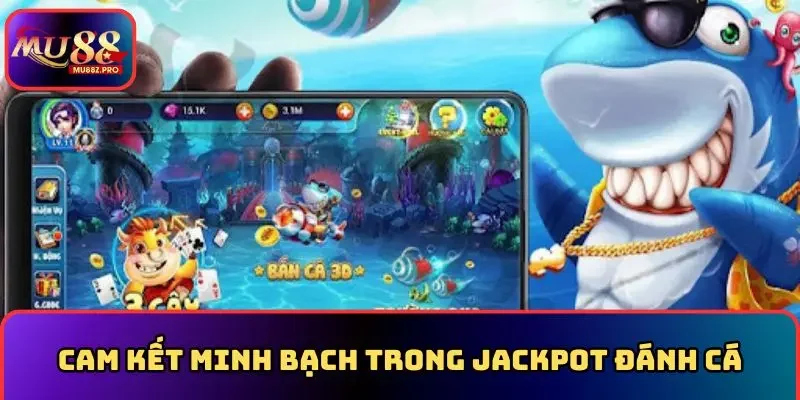 Cam kết minh bạch trong jackpot đánh cá