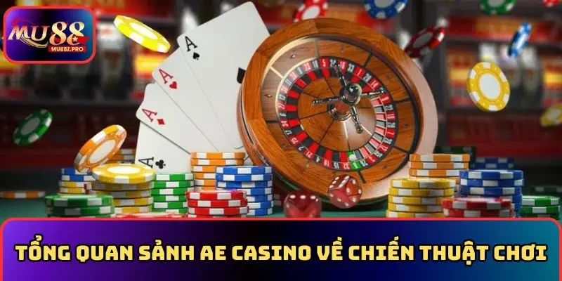 Tổng quan sảnh AE Casino về chiến thuật cá cược