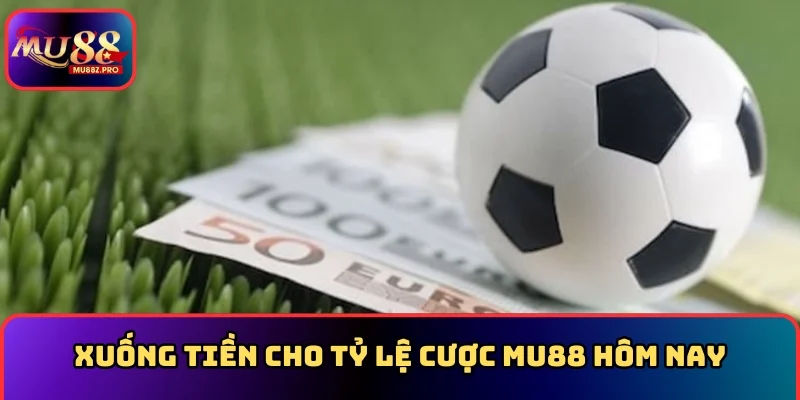 Xuống tiền cho tỷ lệ cược MU88 hôm nay