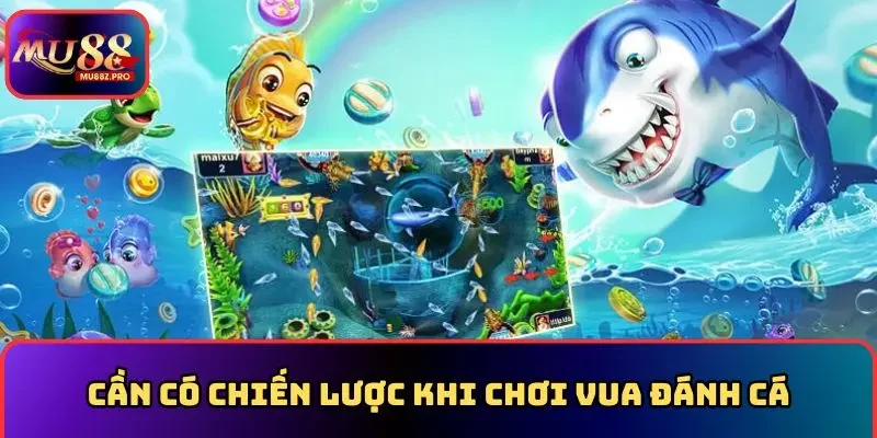 Cần có chiến lược khi chơi vua đánh cá
